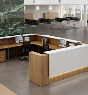 Reception Desks and Queue Management Systems